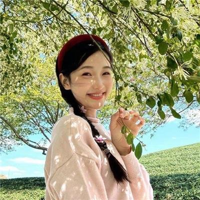 绵羊侦探团