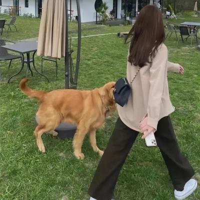 了不起的曹萱萱